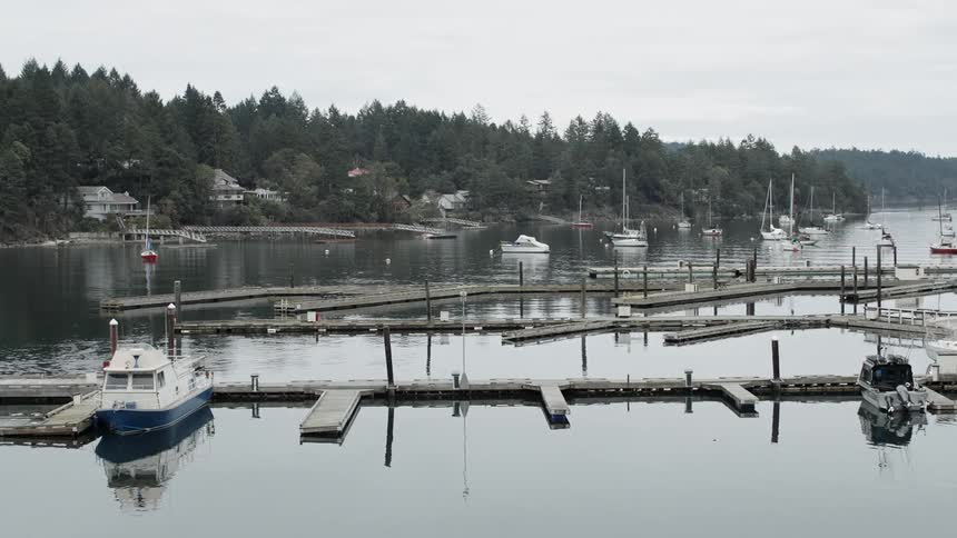 Boats float in a marina