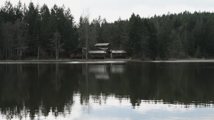 Water ripples on a forest lake