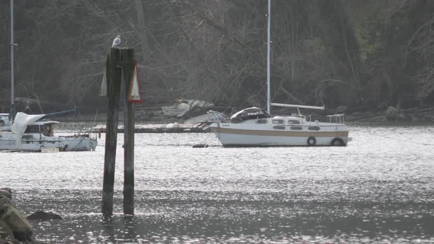 Boats sit docked in the flowing water
