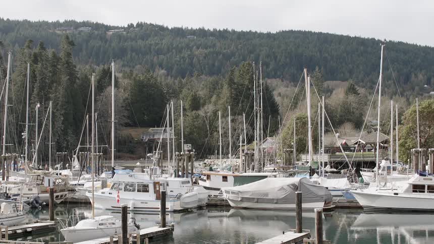Boats float in a marina