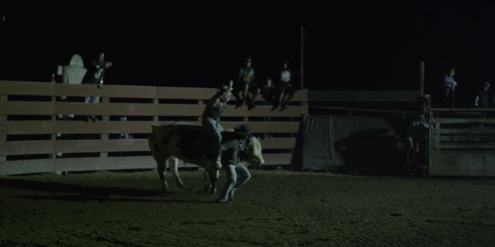 A bull rider rides on a bucking bull