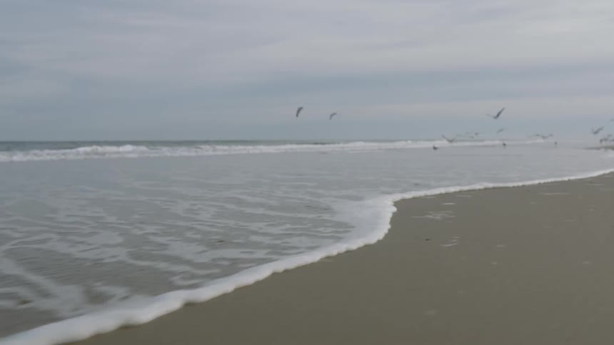Birds fly low over the beach on a cloudy day