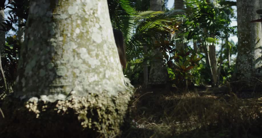 A photographer walks through a jungle