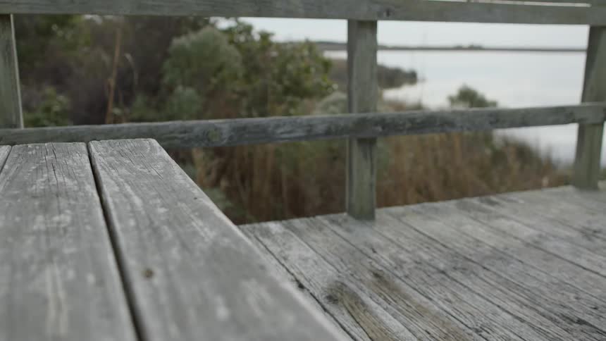 The wooden pier has tall grass by the water