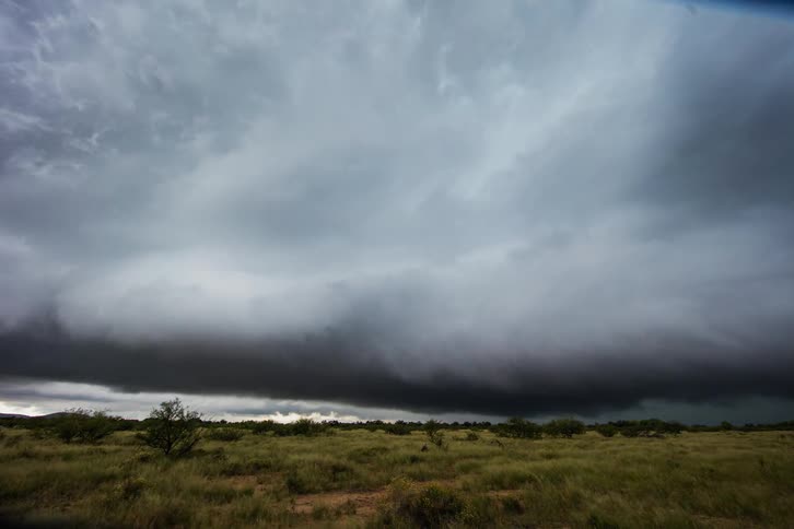A storm is blowing across a desert landscape during the day