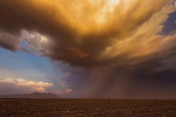 Storm clouds gather and darken over a field