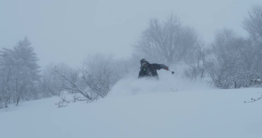 A skier blasts through the deep powder with snow covered trees