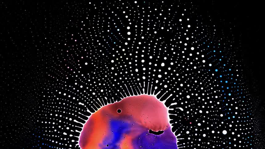 Multicolored blob shrinks as it disperses small white spots