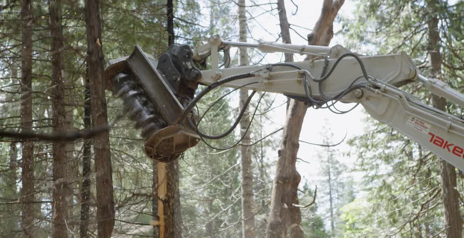 Large machine saws into a tree trunk and knocks it down