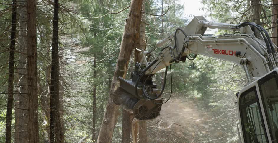 A grinder on an excavator grinds down a tree