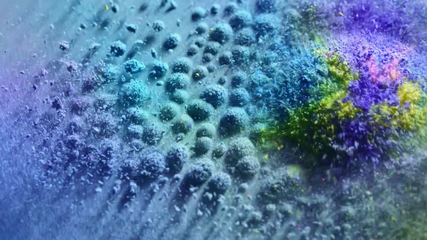Colorful powder explodes on a vibrating plate