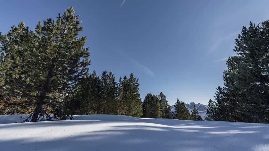 Snow covered field sits under a blue sky