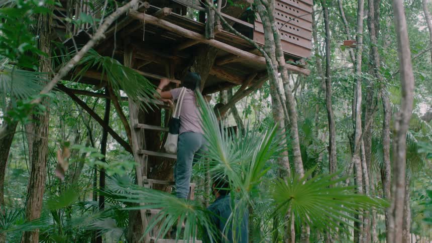 Man and woman climb the ladder to a tree house