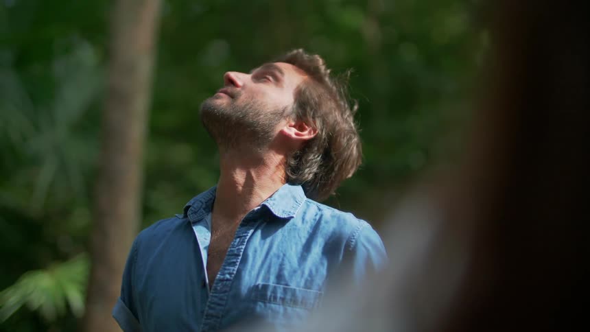 A man looks up at the tall trees