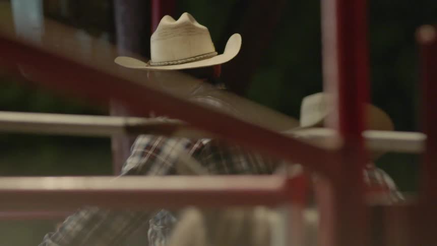 A cowboy rides a horse in a paddock