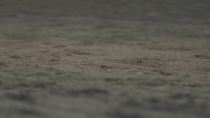 Empty rough surface sits quietly