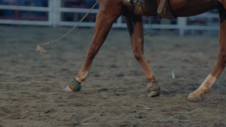 A cowboy rides a horse in a paddock