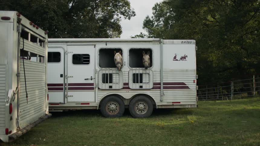 Two horses poke their heads out of windows on a trailer