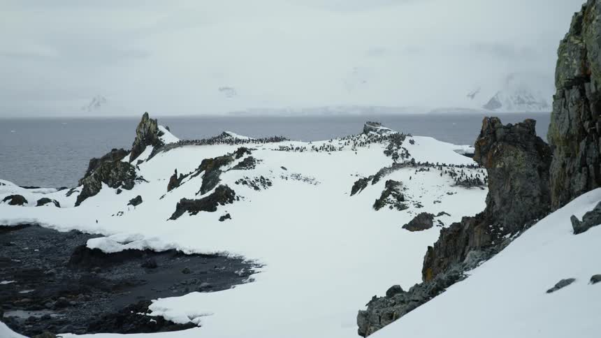 Snow covered mountains under a cloudy sky with large penguin colony