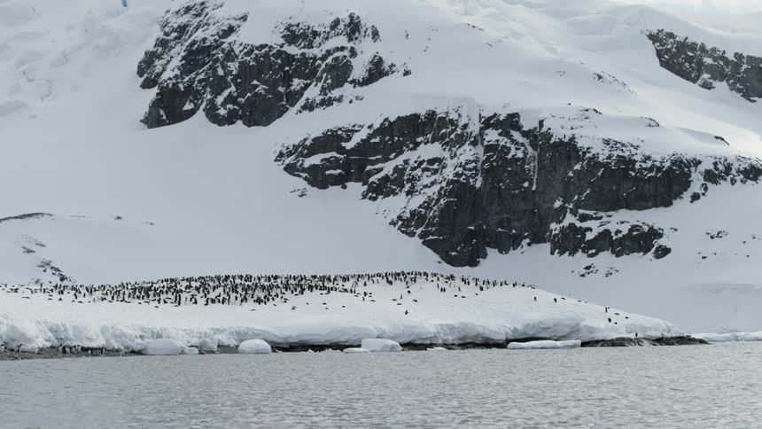 The shoreline is covered with ice and snow