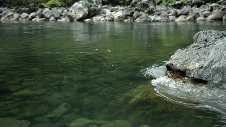 A fishing line floats in a river