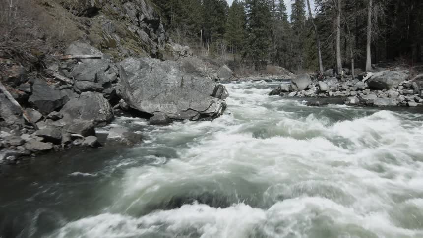 A river flows through a forest