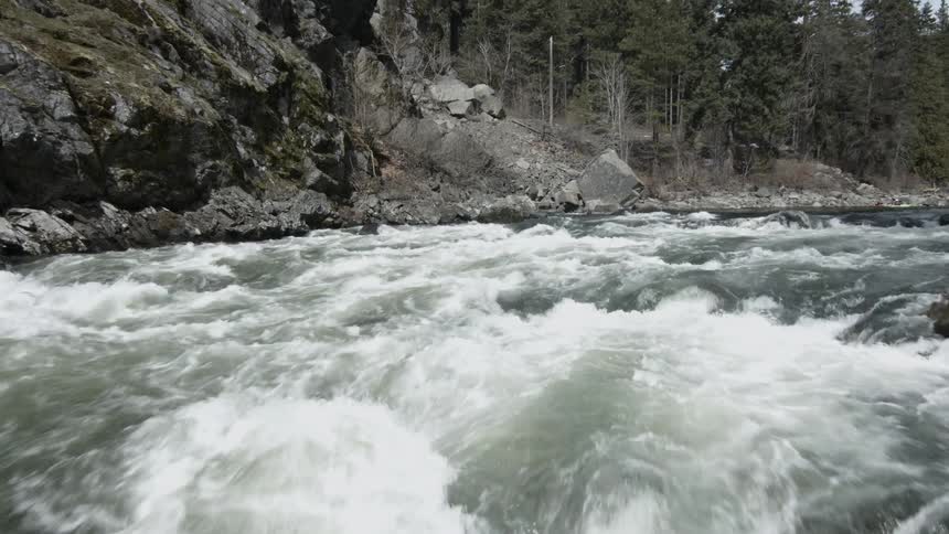 A river flows through a forest
