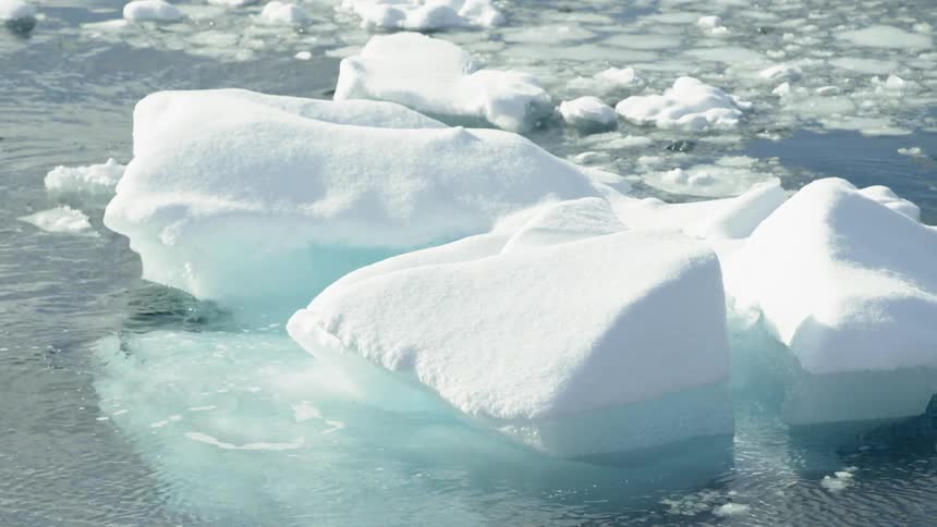 Blue Ice chunks float in the cold water