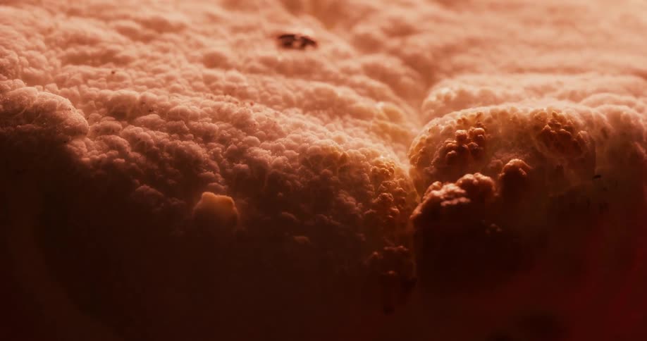 Foam expands and grows larger