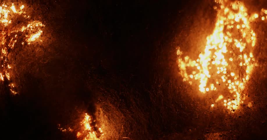 Orange sparks spread