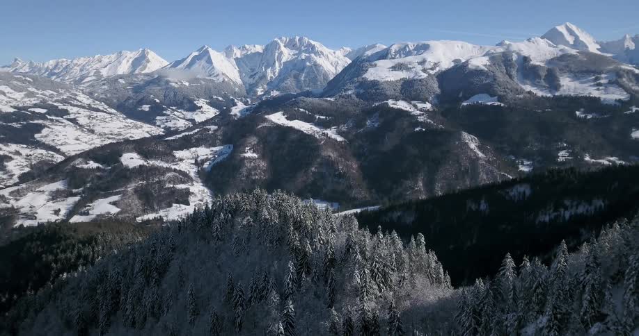Snowy mountains and trees