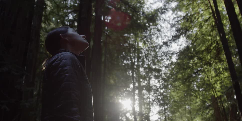 A woman looks up at forest trees