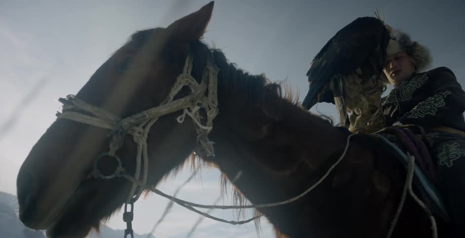 Horse stands with a man and large bird on its back