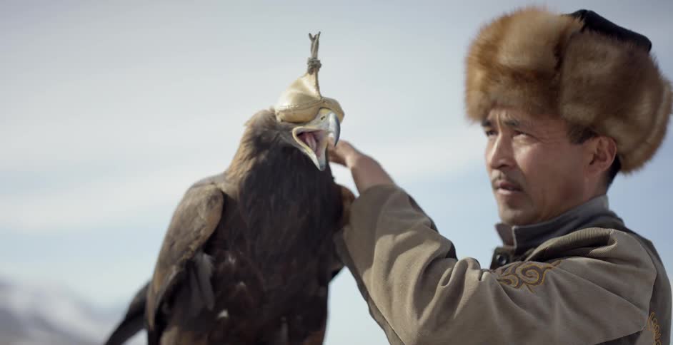 Man pets a bird with covering over its eyes