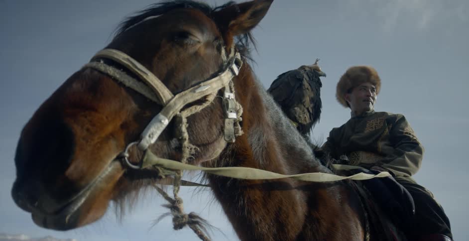 A hunter with a hooded golden eagle on horseback