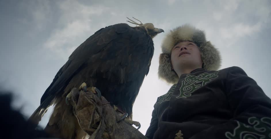 Large predatory bird sitting on the covered arm of a man on a cloudy day