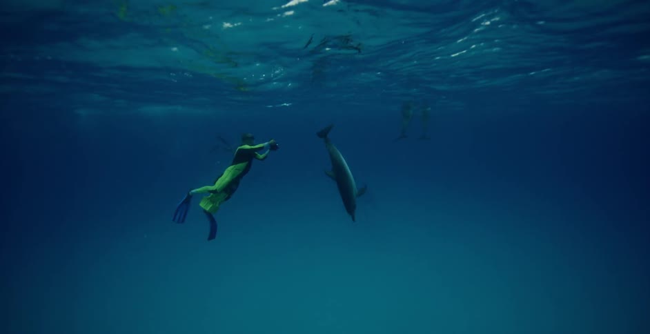 Diver swimming amongst dolphins playfully
