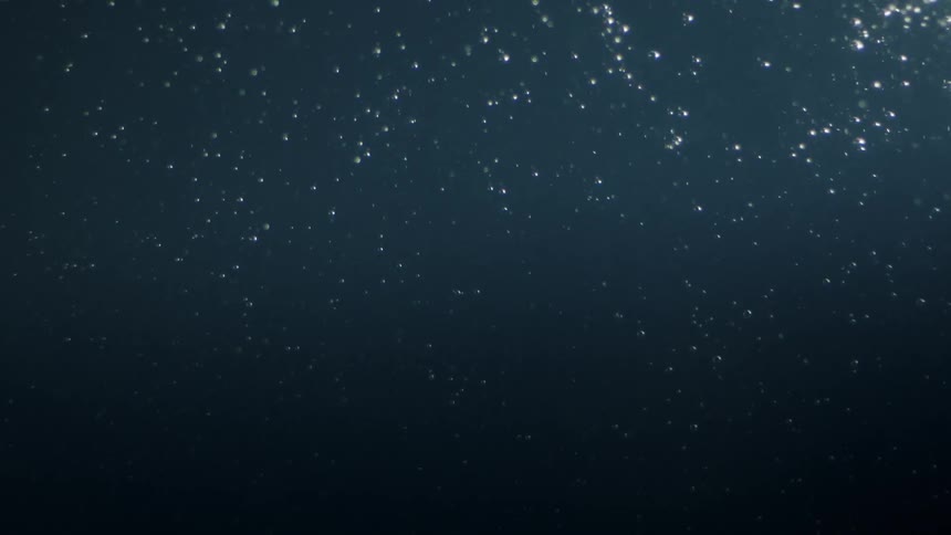 Bubbles in dark water