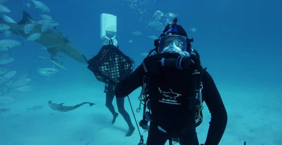 A scuba diver pets a passing shark