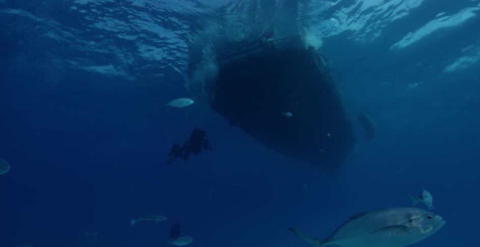 Diver swims up towards a boat as fish swim in the ocean