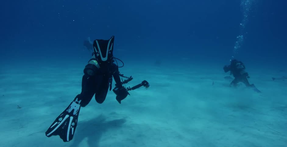 The scuba divers are photographing the fish
