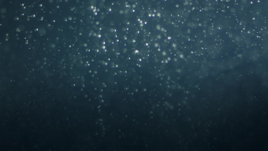 Bubbles float upward in water