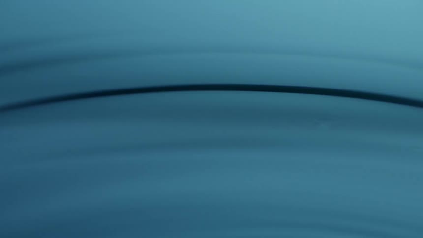 The rings move in the water in waves