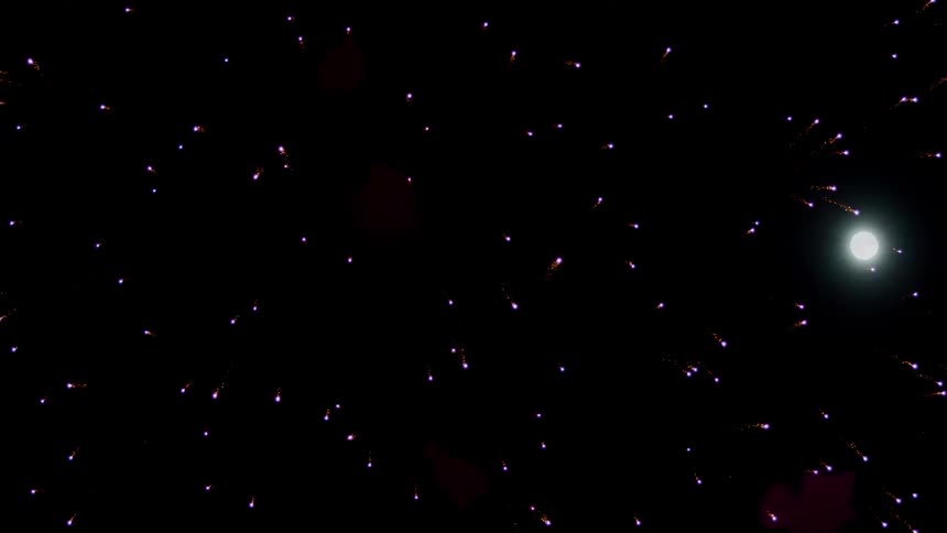Fireworks explode in the dark sky