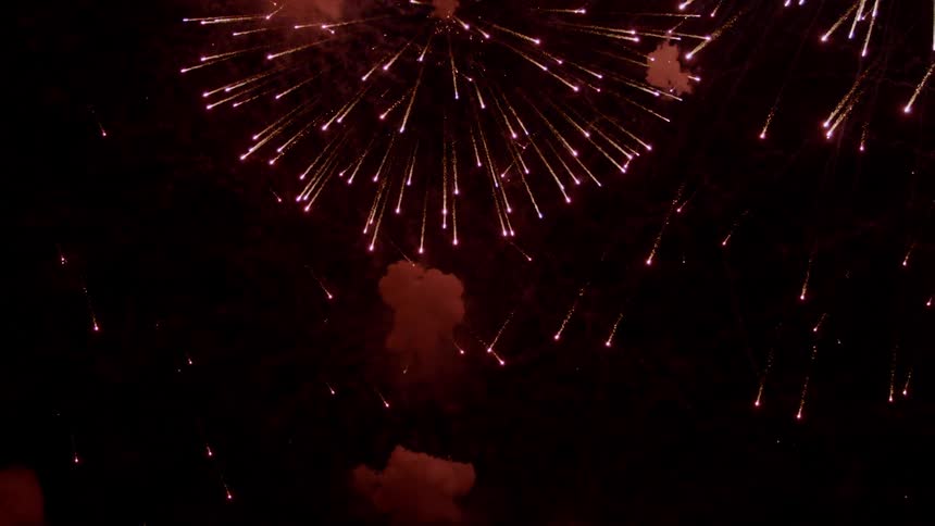 Fireworks explode in the night sky