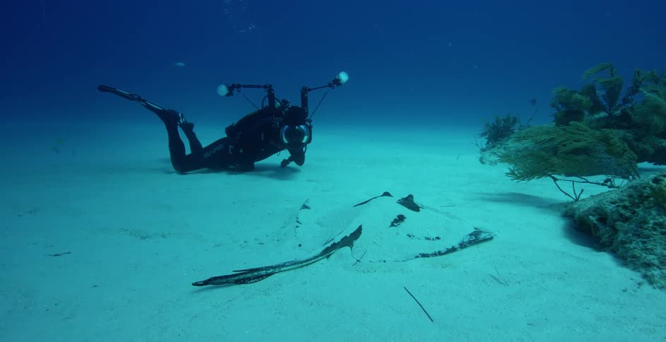 A diver is on the sand on the bottom of the water
