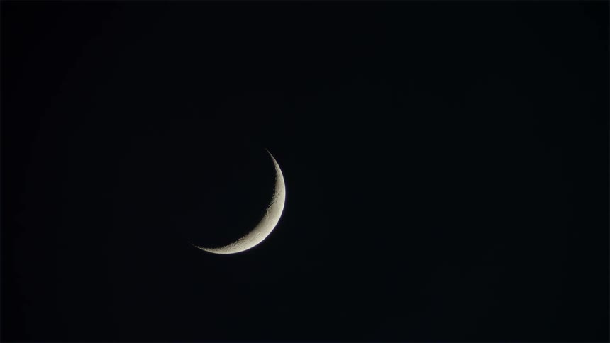 The quarter moon sits high in the night sky