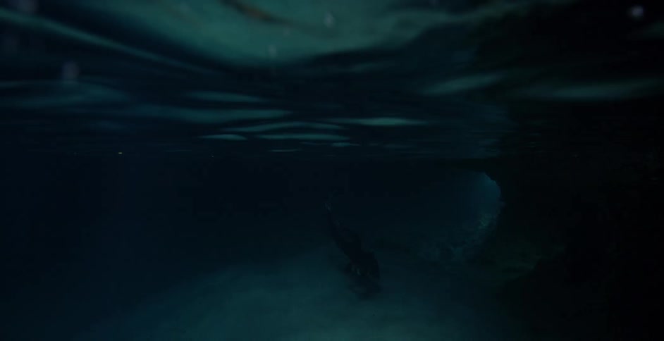 Underwater and above the surface