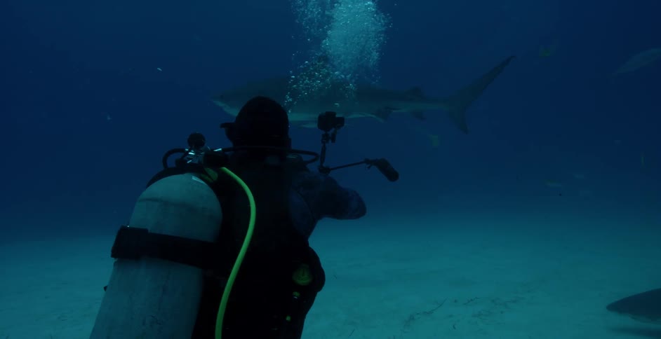 A scuba diver films sharks swimming