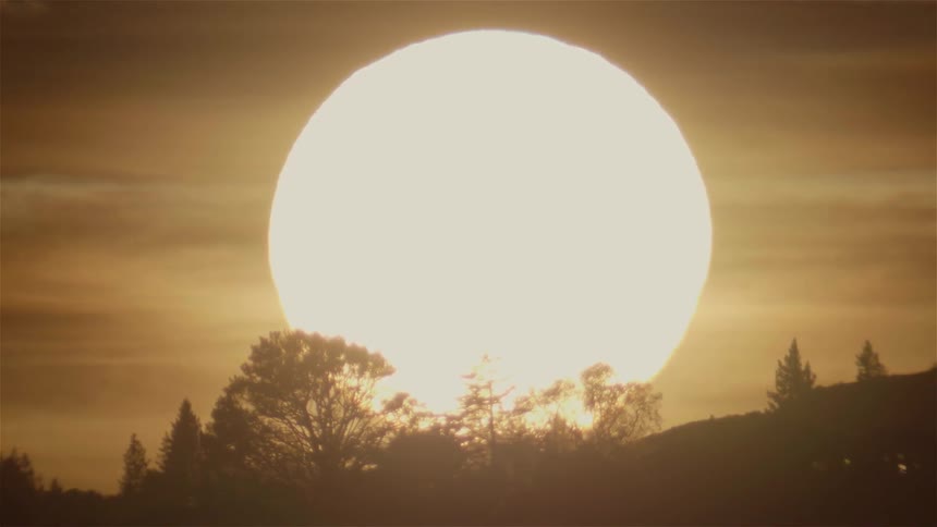 Large sun shines over tree tops